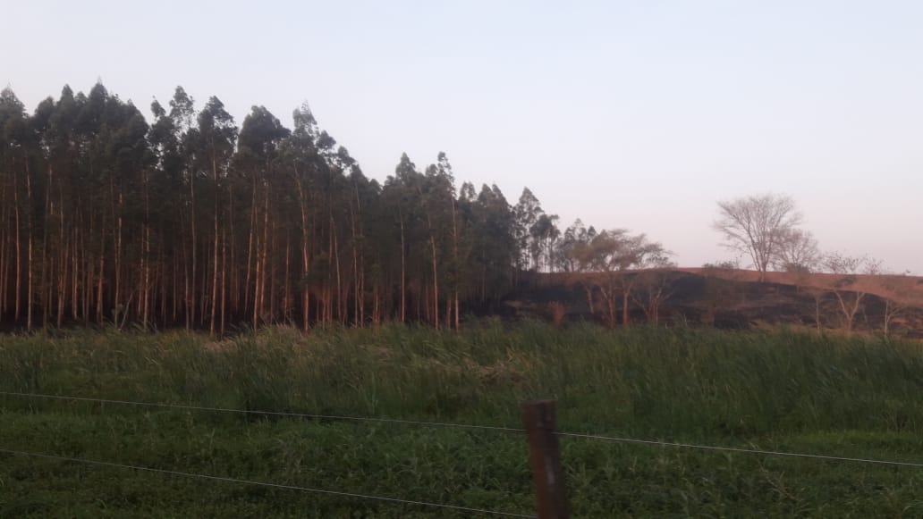 24 horas depois, ainda há focos de incêndio em Trabiju