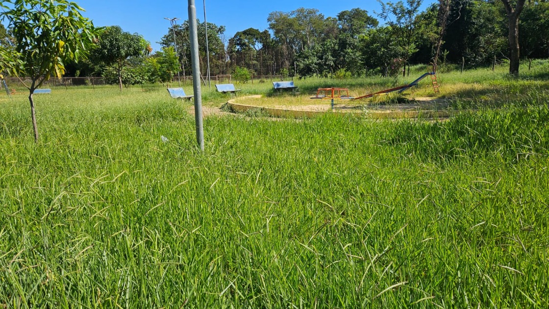 Moradores reclamam de falta de manutenção em praça no Jardim Maria Luiza; 'sujeira e mato alto'