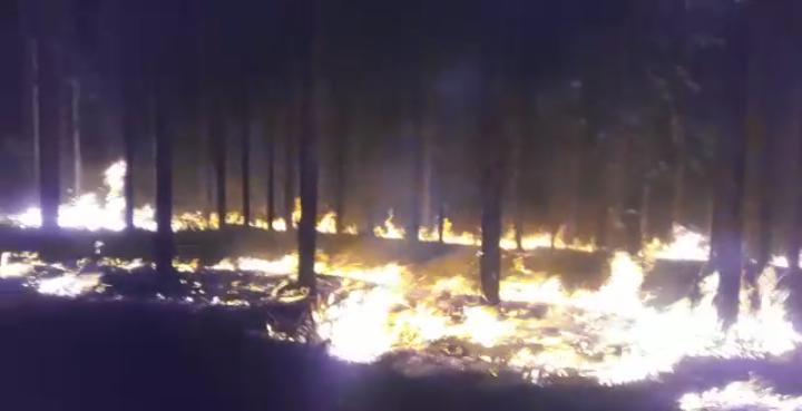 Destruição: região teve mais de 300 focos de incêndio no fim de semana