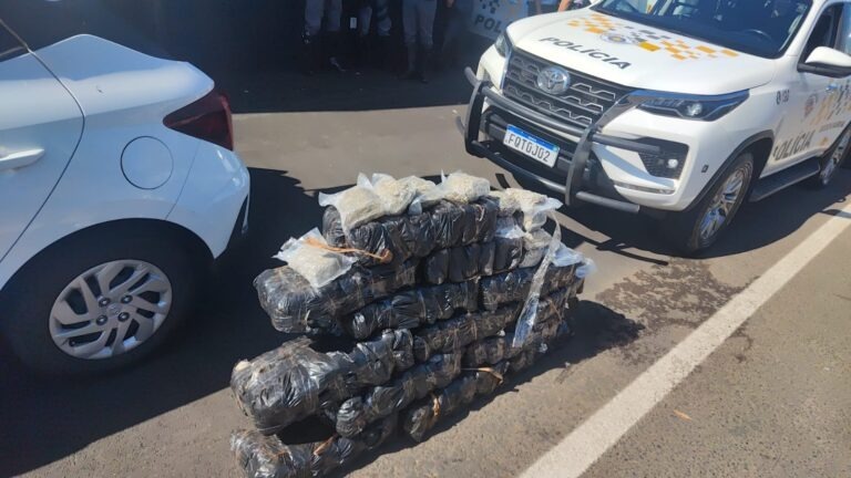 Casal é preso com 172 pacotes de skunk em rodovia do interior de SP
