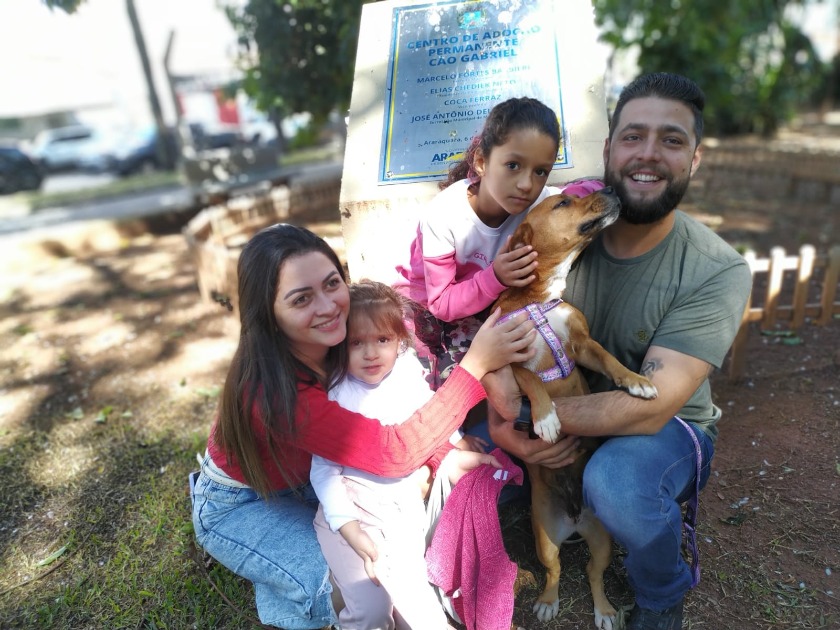 Bóra? Araraquara realiza mais uma Campanha de Adoção de Animais neste sábado (1º)