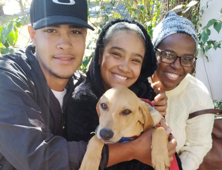 Adote um companheiro: Araraquara realiza neste sábado (15), Campanha de Adoção de Animais