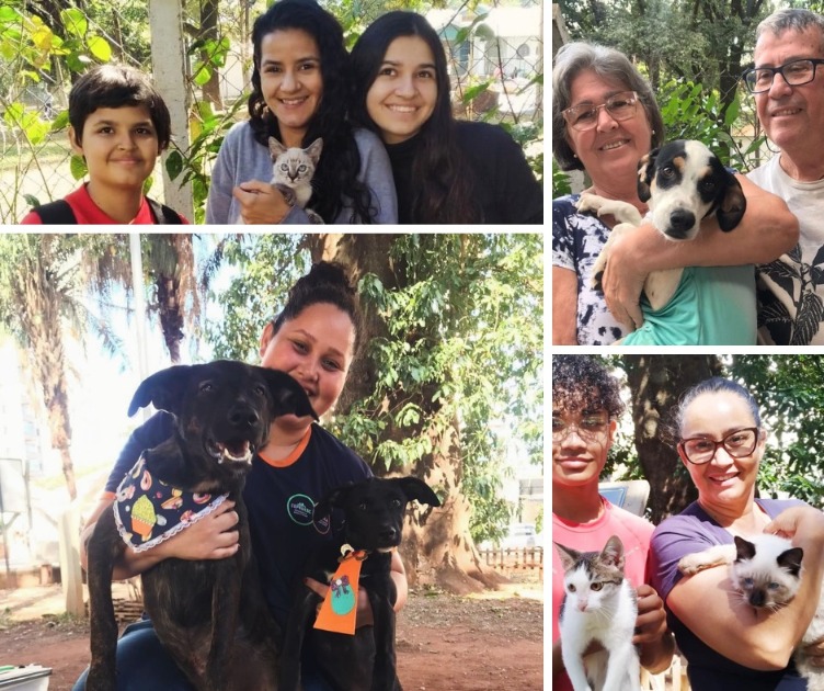 Adoção animal: Campanha acontece neste sábado (6) em Araraquara