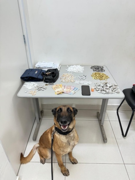 Adolescente é detido pelo Baep/Canil com drogas e dinheiro Vale Verde