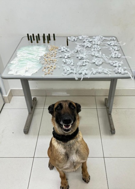Baep/Canil apreende cocaína, maconha e crack no conjunto habitacional do Jardim Paraíso