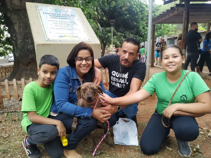 Adote: Parque infantil recebe Campanha de Adoção de Animais neste sábado (31)