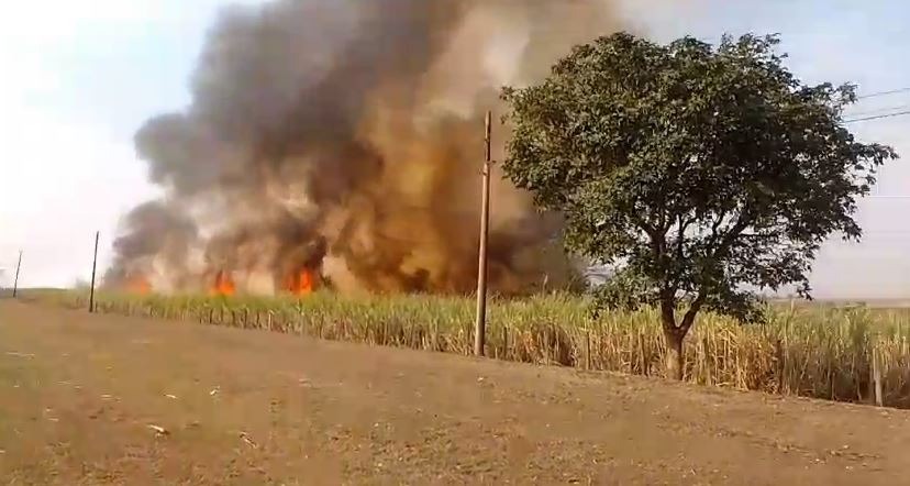 Perigo: Defesa Civil alerta riscos de incêndios em quase todo o estado de SP