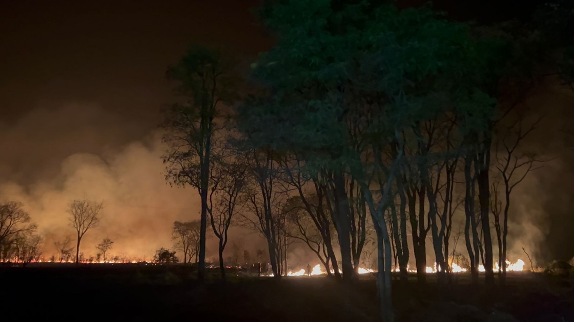 Incêndio de grandes proporções atinge mata próximo da SP-310 em Araraquara
