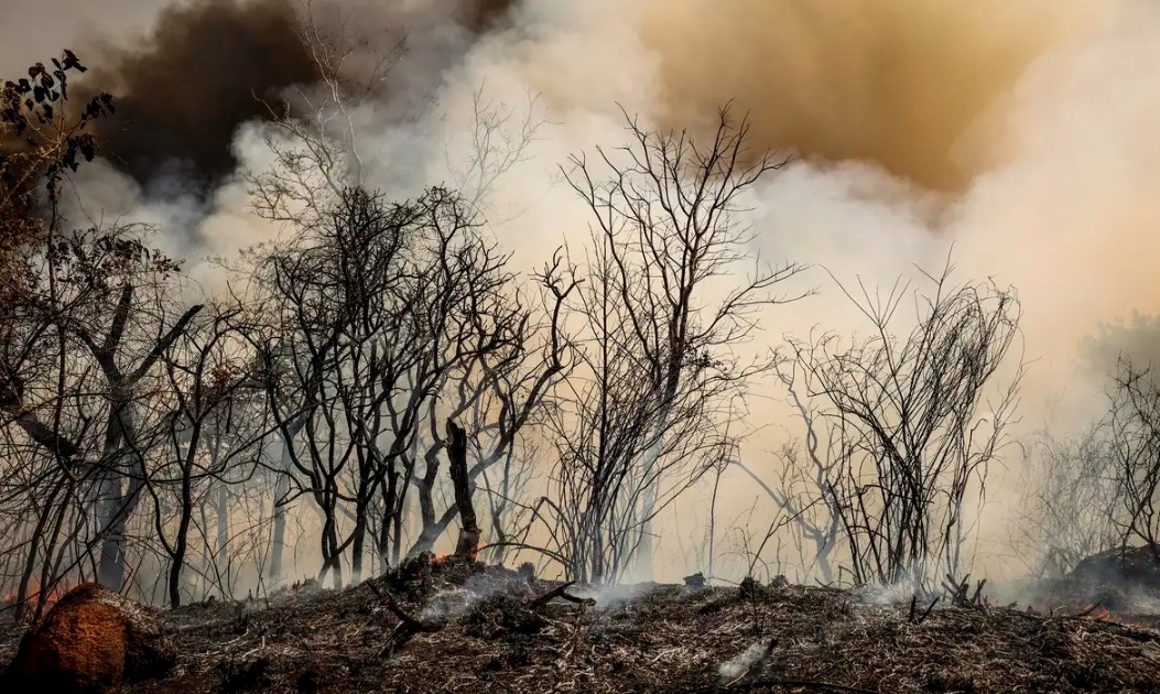 Defesa Civil alerta para risco de incêndios na região de Araraquara