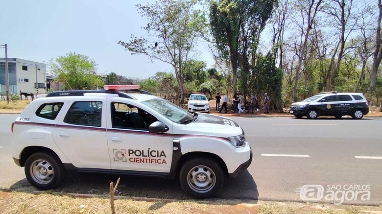 Corpo de homem com rosto deformado é encontrado em mata da região de Araraquara