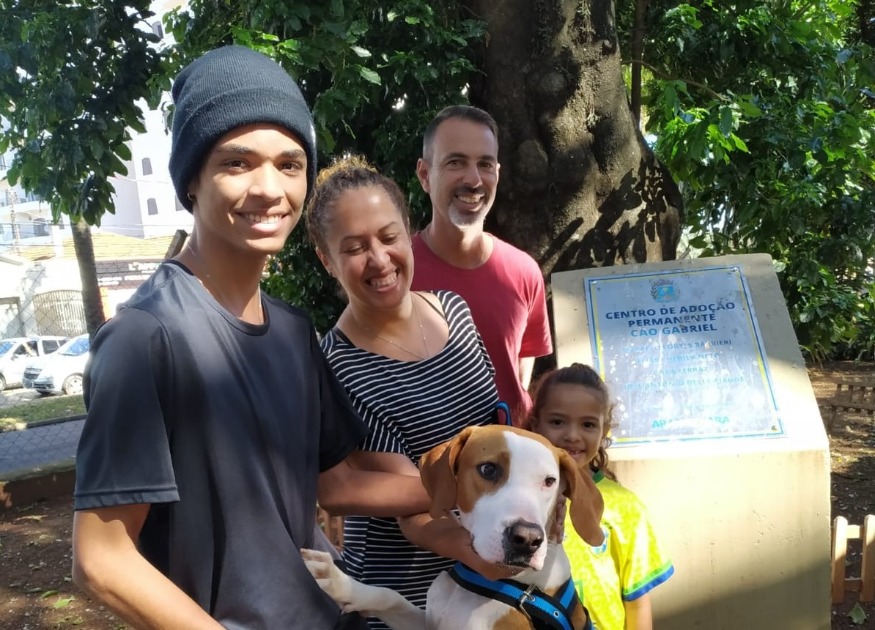 Campanha de Adoção de Animais acontece neste sábado (9) em Araraquara; cães e gatos castrados e vacinados