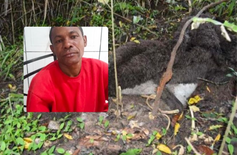 Tribunal do Júri condena mulher a 18 anos de prisão pela morte do ex em Araraquara; idoso foi absolvido