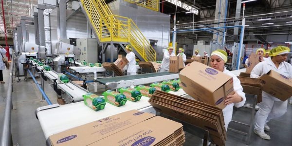 PAT anuncia vagas de auxiliar de produção em Araraquara; veja como se candidatar