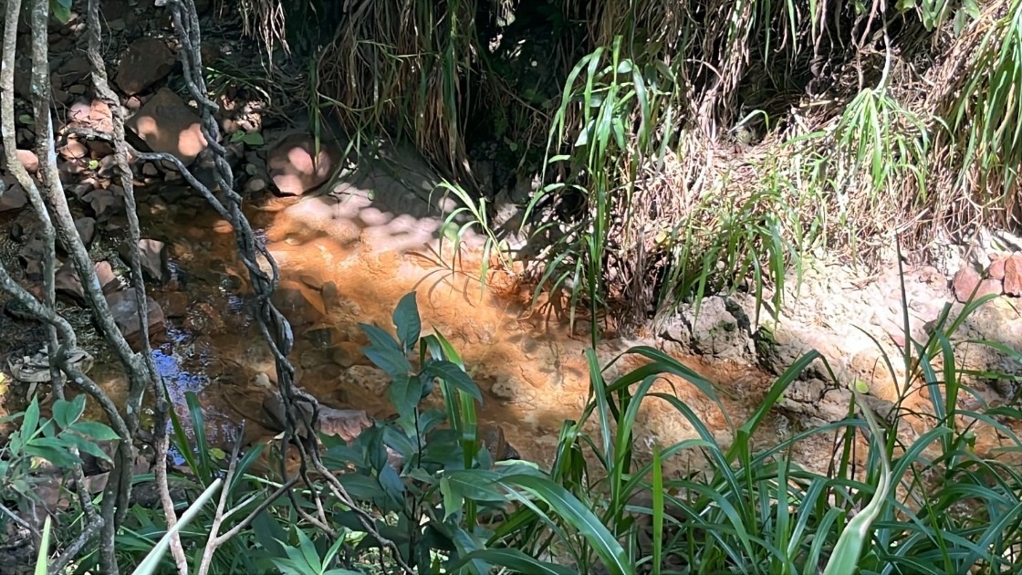 Corpo de mulher é encontrado em área de mata próximo a um pequeno córrego no Selmi Dei