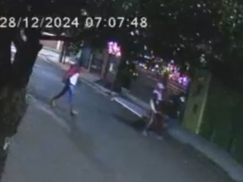 Trio invade residência e furta cofre com armas de empresário na Vila Biagioni