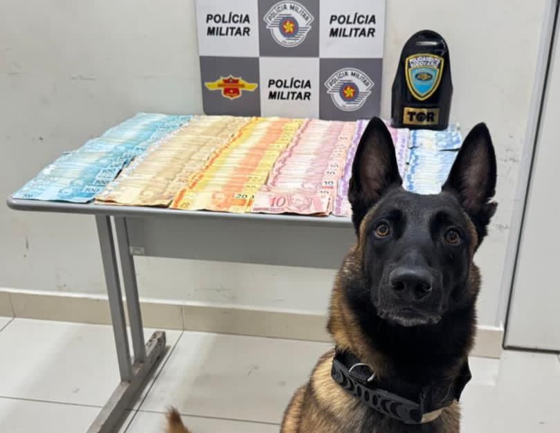 Motorista é detido pelo TOR com mais de R$ 50 mil na rodovia SP-255 em Araraquara