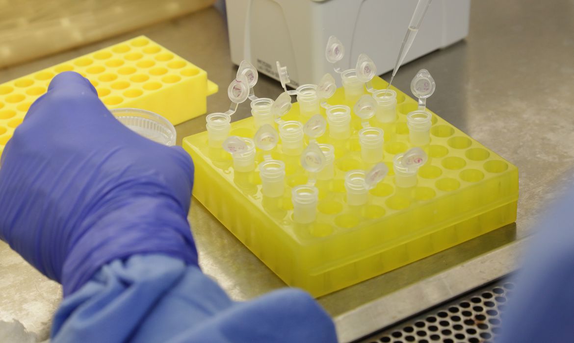 Fiocruz: vacina contra covid-19 pode chegar a testes clínicos em 2021