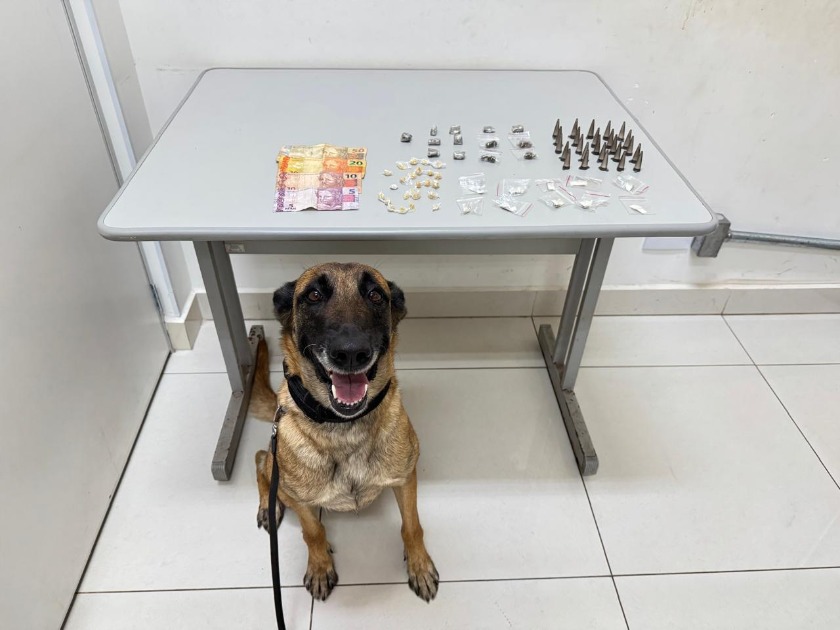 Adolescente é detido pelo Canil do BAEP com drogas e dinheiro no Jardim São Rafael