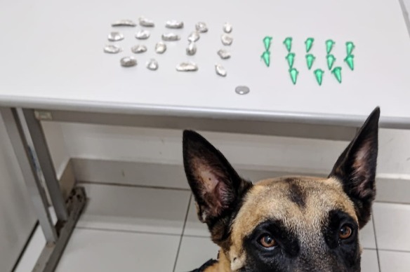 Cão farejador encontra drogas escondidas em caminhão e homem acaba preso no Jardim São Rafael