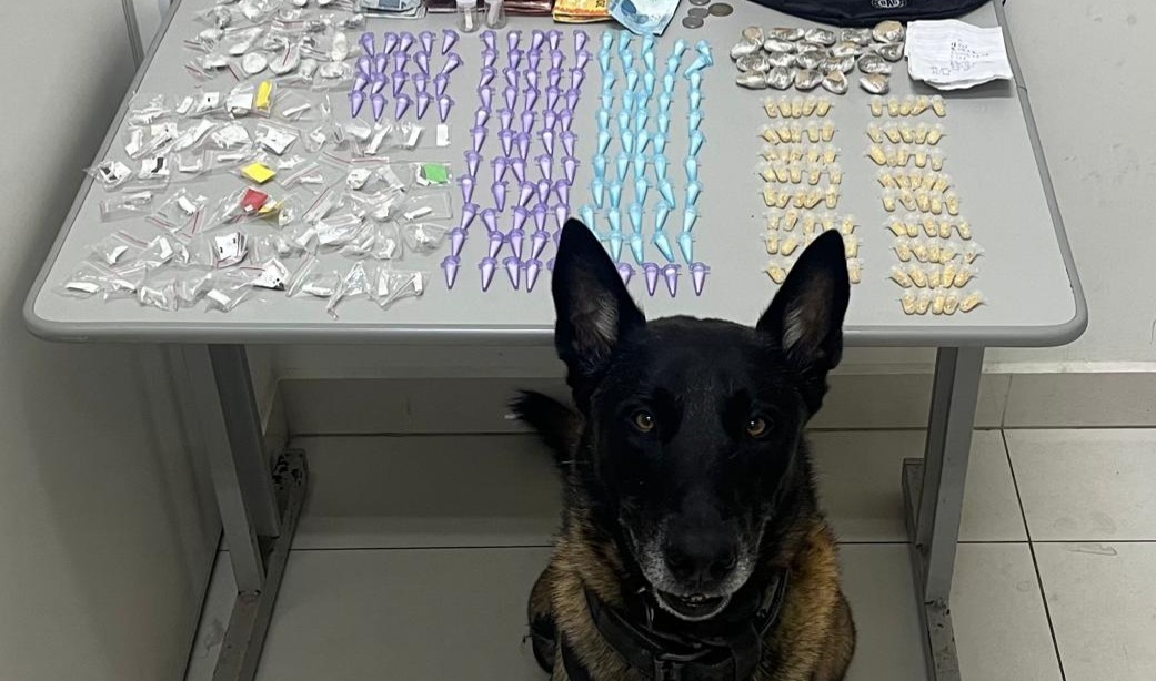 Adolescente é detido pelo canil do BAEP com cocaína, crack, maconha e dinheiro no Valle Verde