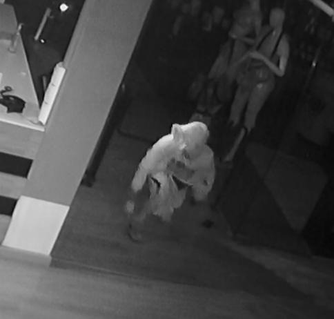 Ladrão esquece celular durante furto em lanchonete de academia e acaba preso pela PM no Santana