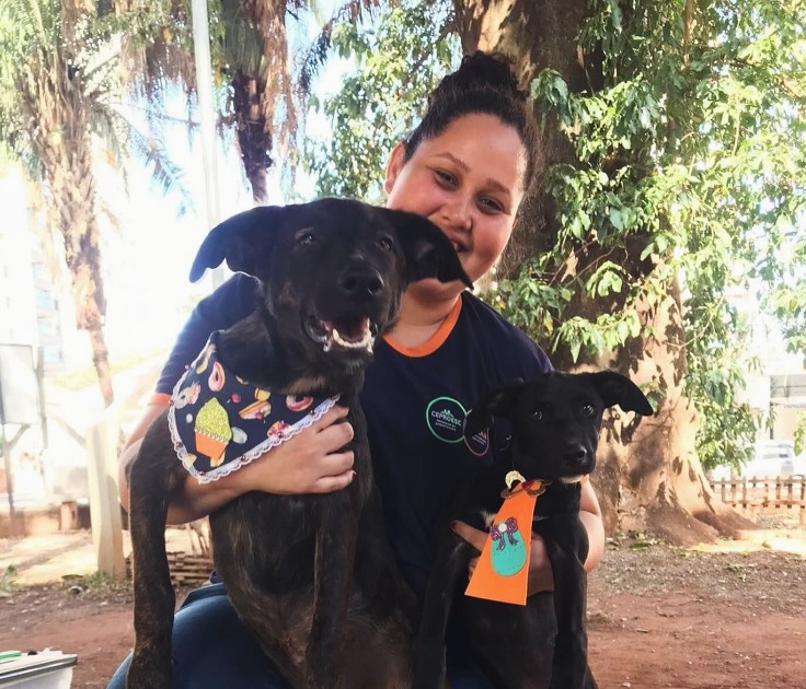 Adoção animal: encontre seu novo melhor amigo neste sábado (25) em Araraquara