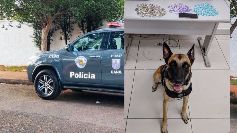 Com ajuda do cão farejador Spark homem é preso com drogas pelo BAEP no Jardim São Rafael