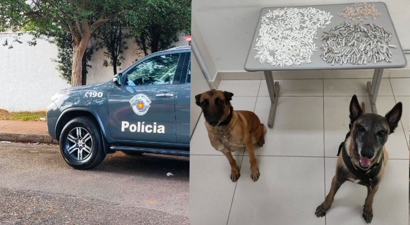 Cadelas farejadoras Kira e Atena encontram grande quantidade de drogas no Jardim Paraíso
