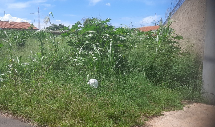 Prefeitura exige limpeza de terrenos e calçadas em Araraquara; multas ultrapassam R$ 5 mil