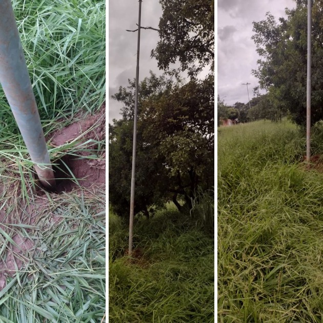 Moradores cobram manutenção no Jardim Residencial Silvestre; ‘roubando até postes’