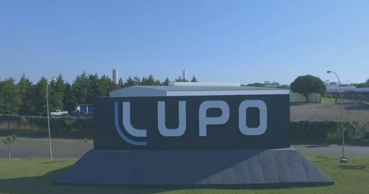 Lupo patrocina curso gratuito de programação em Araraquara; saiba como se inscrever