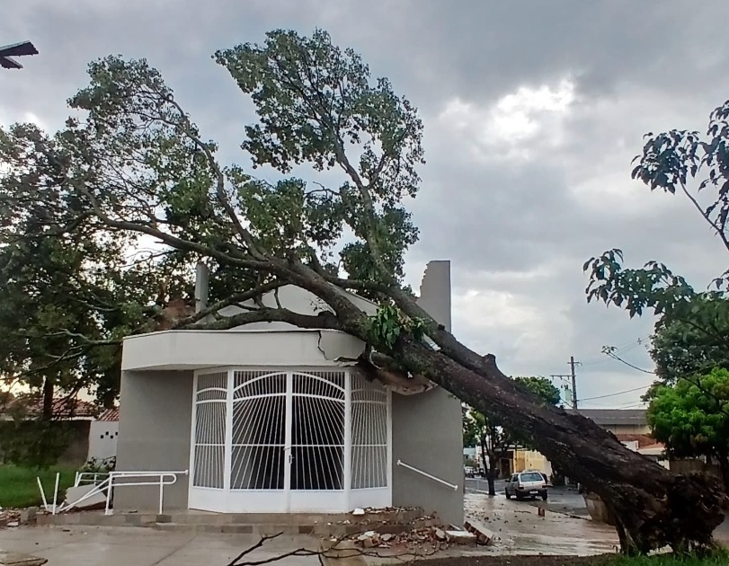 Árvore gigante cai em cima de igreja no Jardim Santa Lúcia em Araraquara