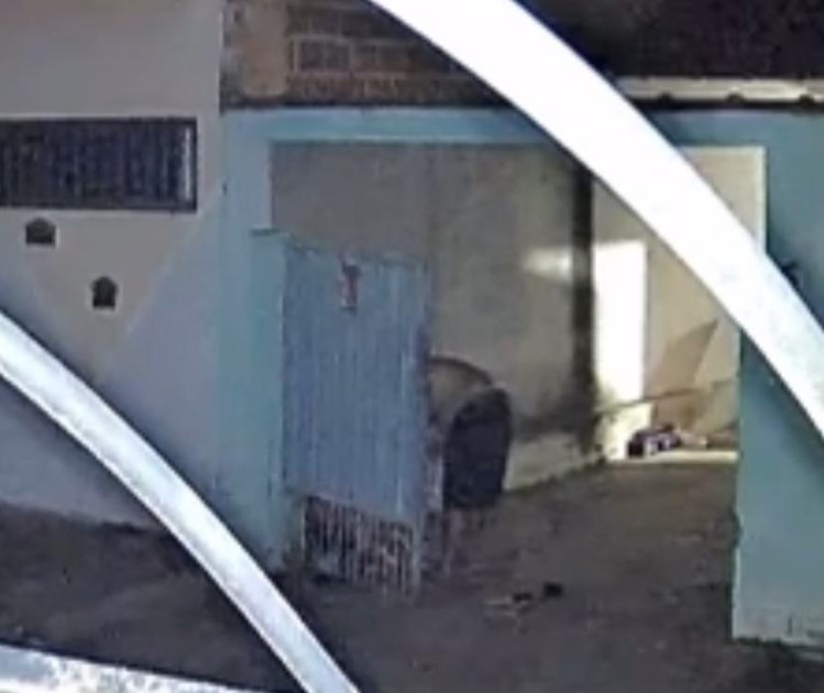 “Ele só me ligou porque achava que ela estava morta”, diz filha de mulher agredida em Américo
