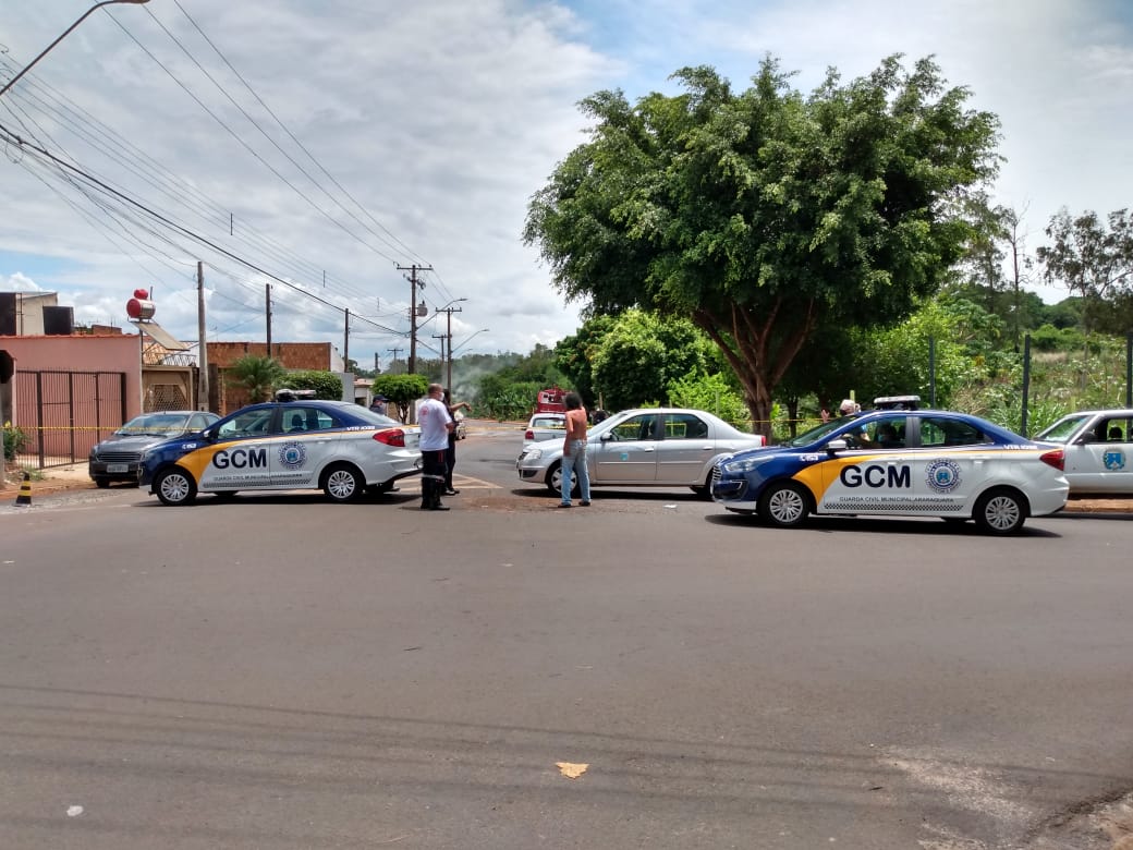 Homem morre após ataque de abelhas no Parque São Paulo