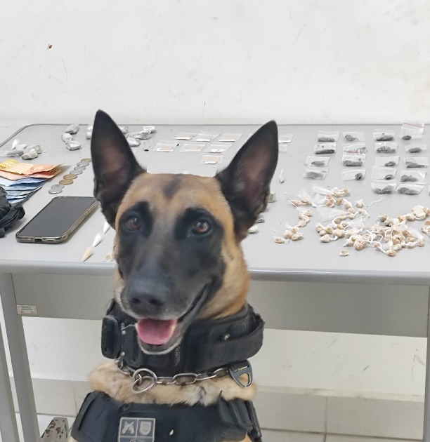 Com ajuda do cão farejador BAEP Canil prende dupla com drogas e dinheiro no Jardim São Rafael