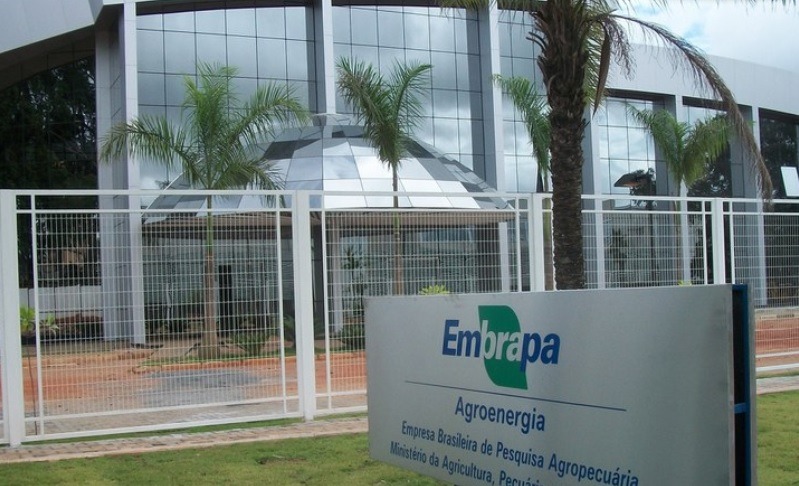 Primeiros resultados do concurso da Embrapa são publicados no Diário Oficial; veja