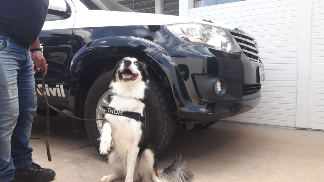 Polícia faz megaoperação em Boa Esperança do Sul e prende suspeitos