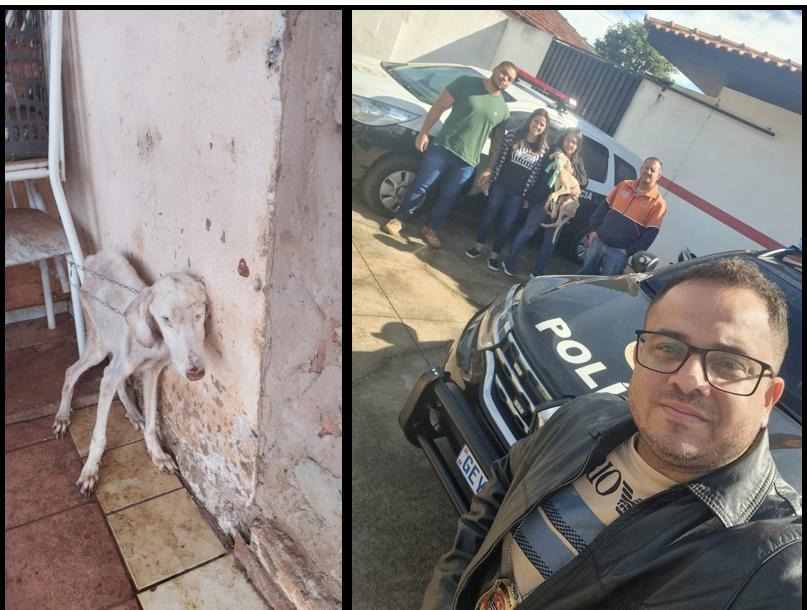 Polícia Civil prende homem por maus-tratos e resgata cachorro em sítio de Boa Esperança do Sul