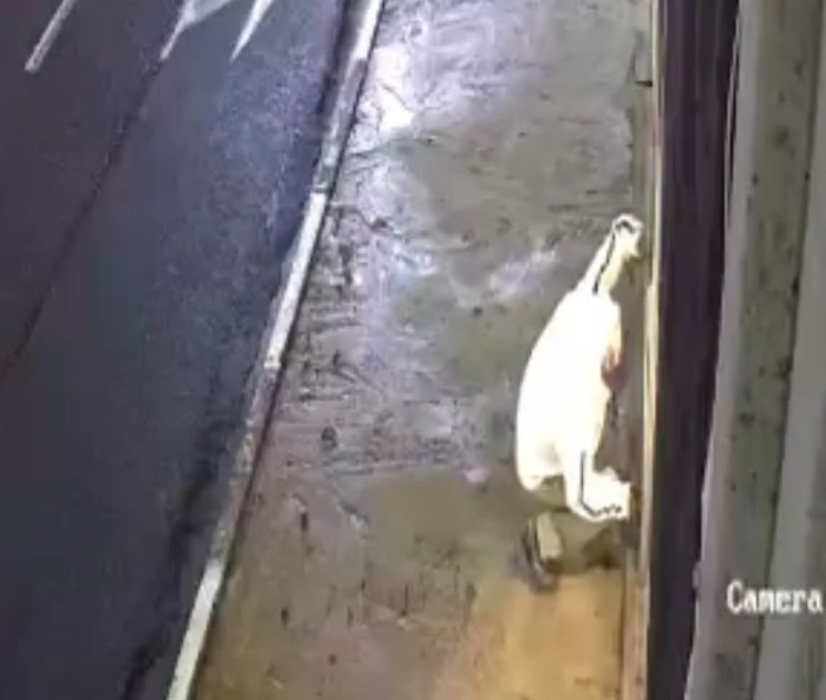VÍDEO: Ladrão invade loja e furta vários perfumes na Vaz Filho