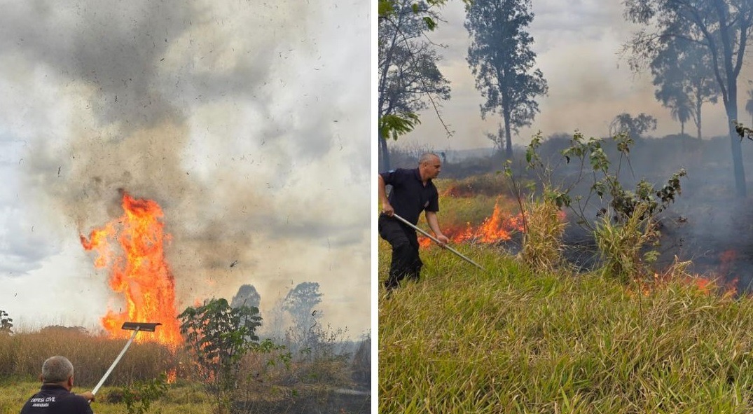 Três incêndios atingem a região do Pinheirinho em um único dia; suspeita de ação criminosa