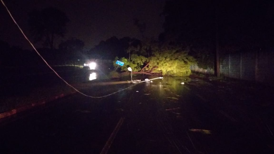 Com forte chuva, árvore cai em cima de veículo na Manoel de Abreu
