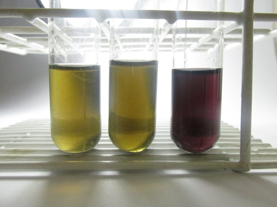 Unesp Araraquara tem teste rápido e barato para detectar metanol em bebidas