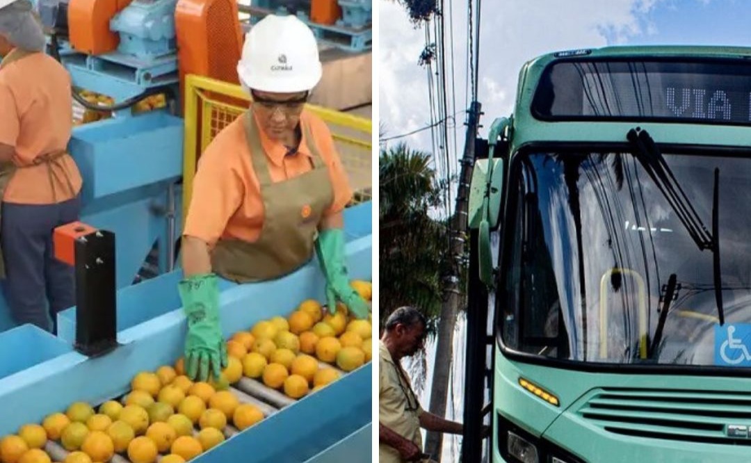 Paraty, Fundecitrus e Citrosuco divulgam vagas em Araraquara e Matão; veja as áreas
