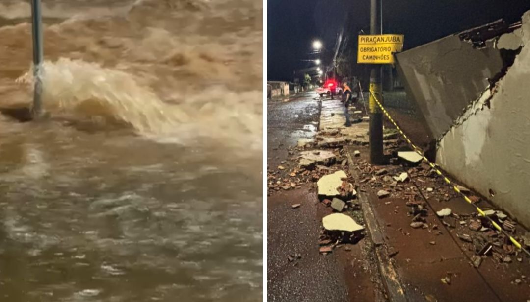 Temporal volta a atingir Araraquara e provoca estragos em vários bairros; veja as fotos