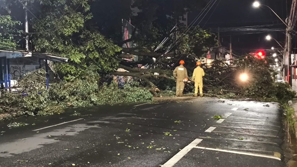 TEMPORAL EM FOTOS: veja imagens de destruição em Araraquara