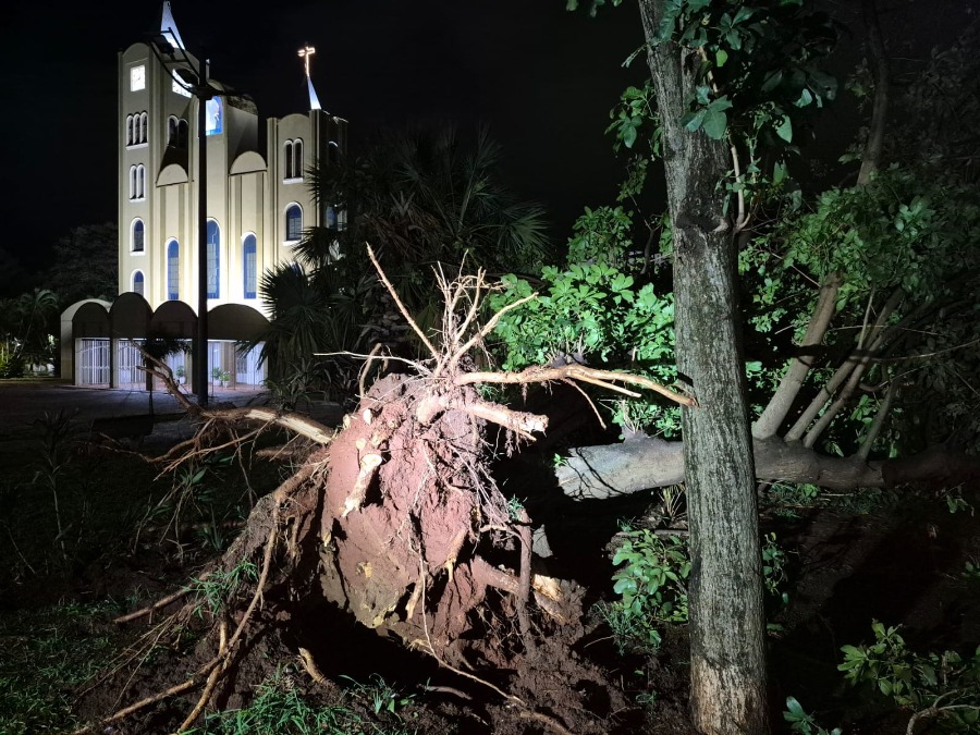 Temporal: Araraquara tem segunda microexplosão em dois dias com ventos fortes e novos prejuízos