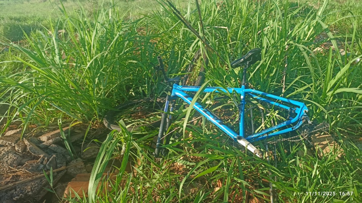 VÍDEO: SIG da CPJ recupera bicicleta avaliada em R$ 8 mil furtada em Araraquara
