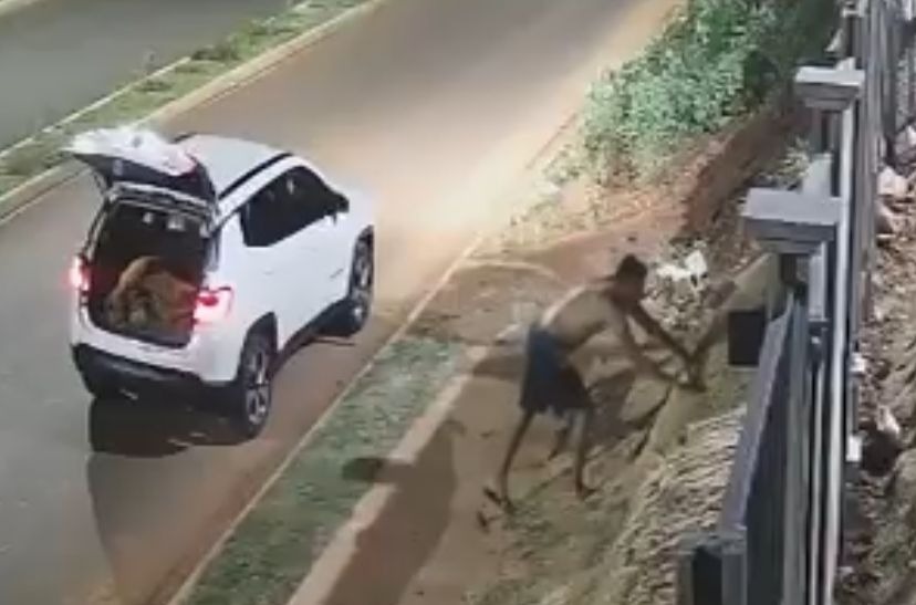 VÍDEO: Ladrão é flagrado furtando placas de grama em obra de condomínio no Jardim Paraíso