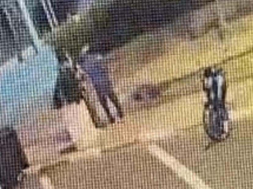 VÍDEO: Adolescente é apreendido pela GCM após tentar assaltar casal no Centro de Araraquara