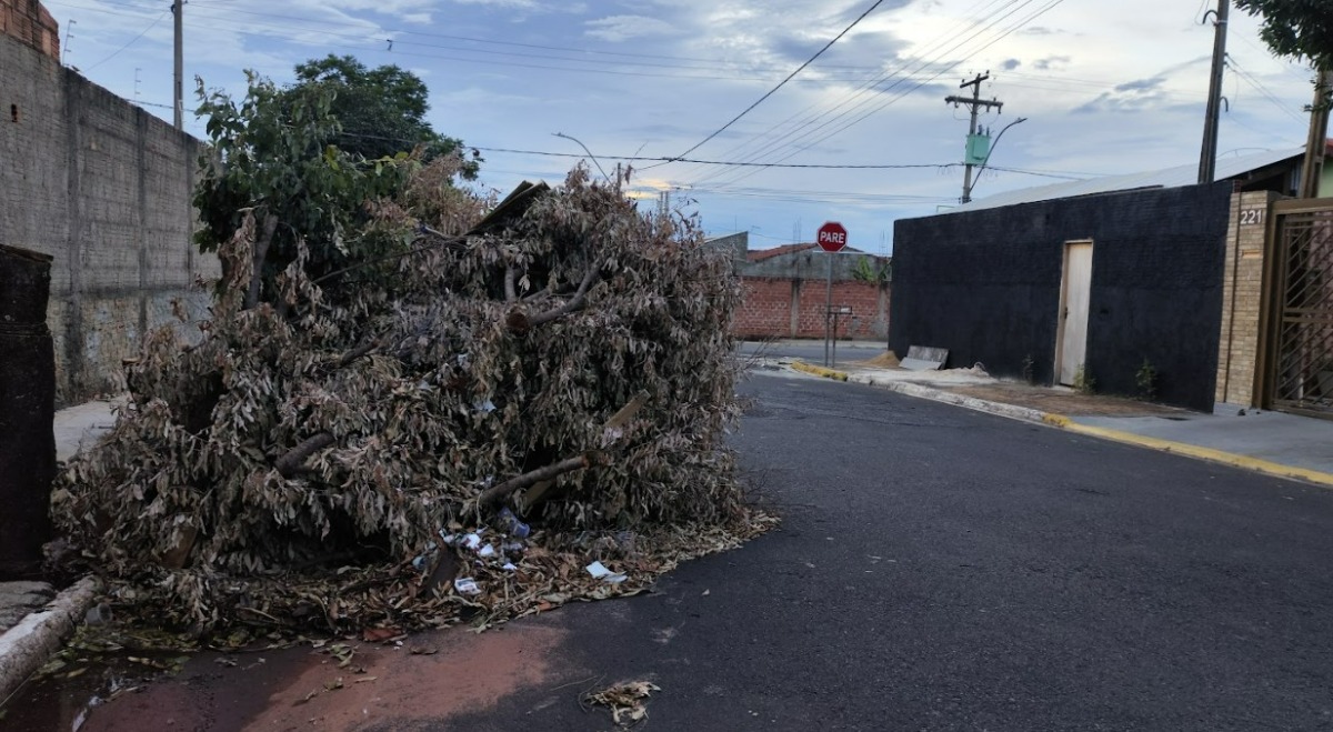 Código de Posturas começa a valer em Boa Esperança do Sul; Prefeitura pode notificar e multar